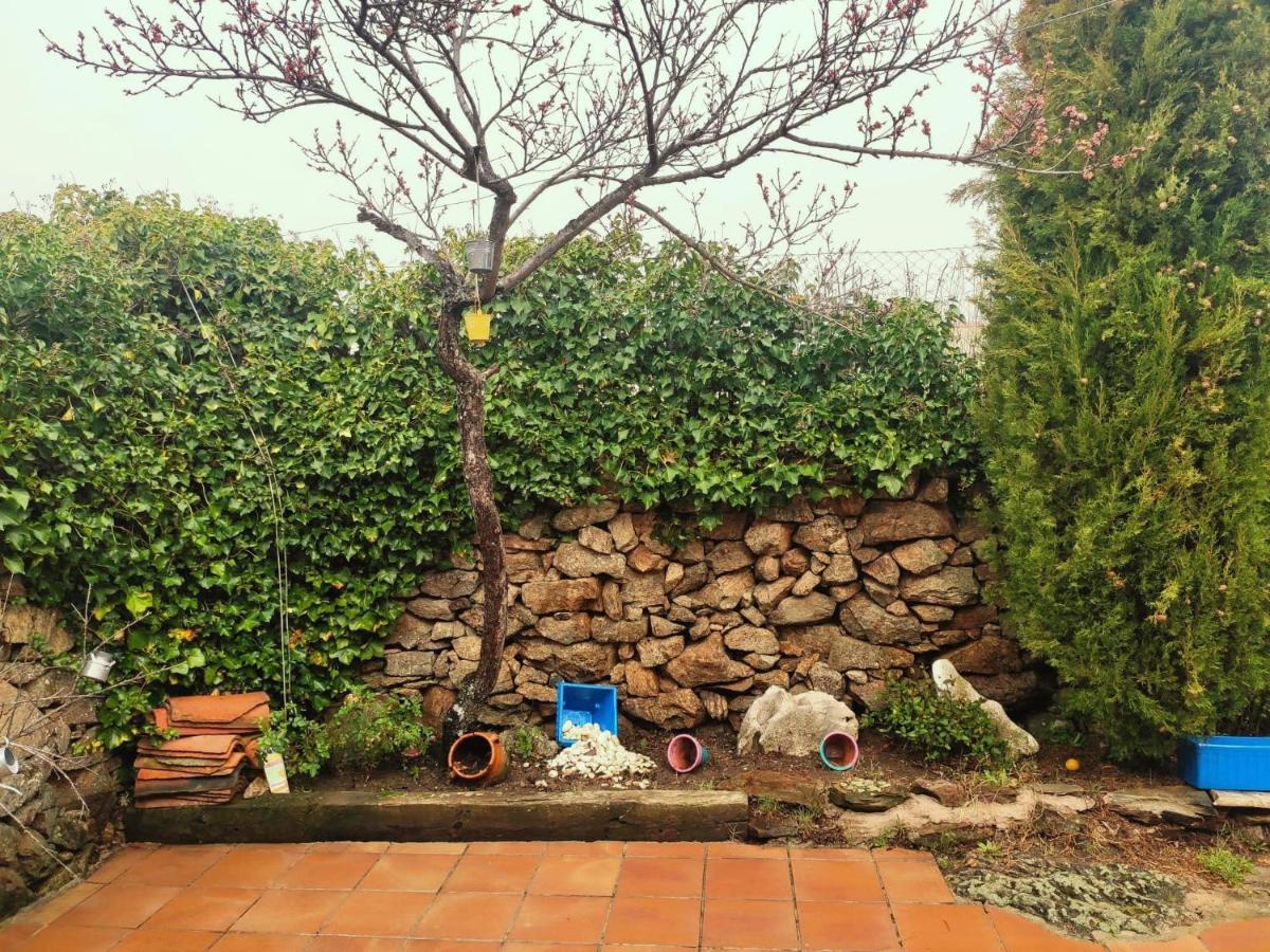Casa Rural Alto Santiago Santiago del Collado 外观 照片